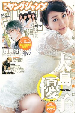 妻子的秘密 电视剧